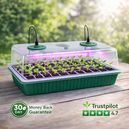 Sprout Haven Seed Starter Tray Kit