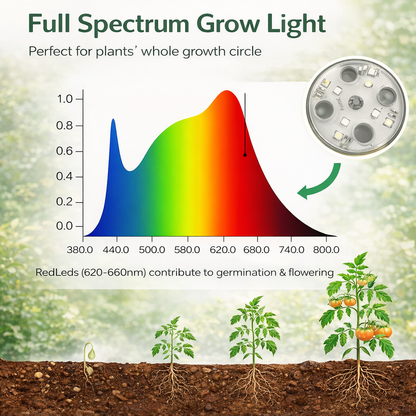 Sprout Haven Seed Starter Tray Kit